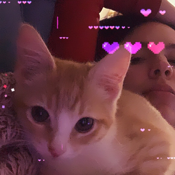 Meet your Posher, Hope - Picture 8 of 8